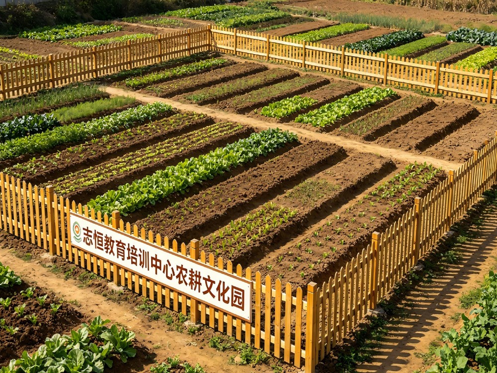 威海孩子厌学不读书管教学校推荐与选择指南